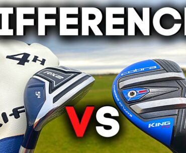 IS THERE DIFFERENCE - ‘cheap’ HYBRID'S Vs Expensive HYBRID'S