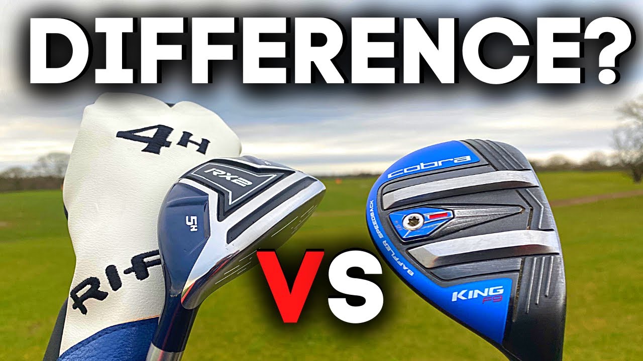 IS THERE DIFFERENCE – ‘cheap’ HYBRID'S Vs Expensive HYBRID'S IS THERE DIFFERENCE - ‘cheap’ HYBRID'S Vs Expensive HYBRID'S