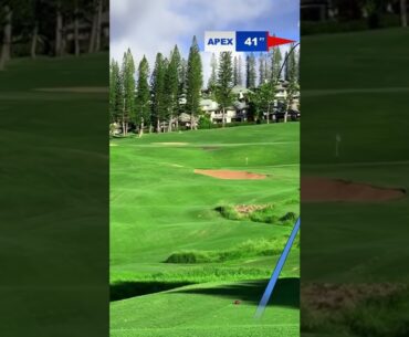 Is this real life - Martin Borgmeier #shorts #golf #golfgirl #short