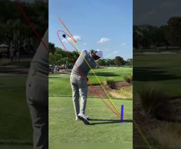 Adam Scott golf swing on Shot Tracer app