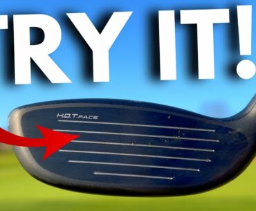 You NEED to try this NEW Cobra Hybrid!!!