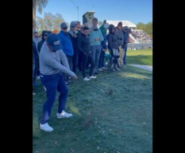 Who is this guy? Great flop artist! #golf  #shorts #golftiktok