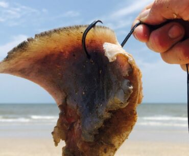 Tips and Tactics for Getting into Shark Fishing from the Beach