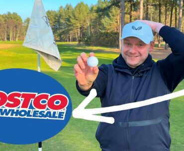 Hole in ONE with a COSTCO golf BALL!!