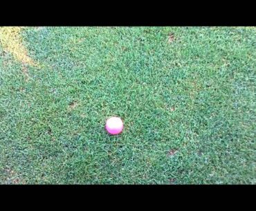 Round Highlights - Precept Lady IQ+
