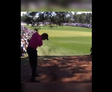 Tiger say "f...ck off #golf  #shorts #golftiktok