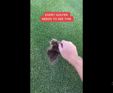 With all due respect, this is the correct way #golf  #shorts #golftiktok