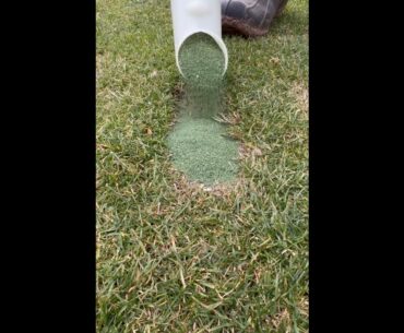 Divot Fill 101 #golf  #shorts #golftiktok