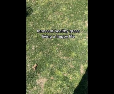 Juicy divots #golf  #shorts #golftiktok