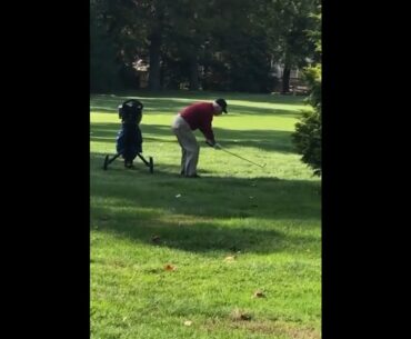 One of the most electric swings of all time #golf  #shorts #golftiktok