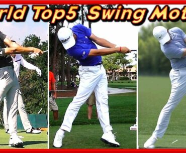 PGA World Ranking Top 5's Various Swing & Slow Motions