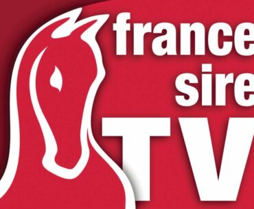 Vente Arqana - Breeze Up 2022