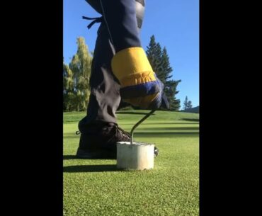 Nothing like a good cup replacement  #golf  #shorts #golftiktok