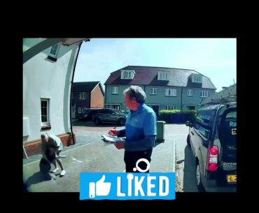 Local dog's incredible catch viral video  | #shorts #reels  #dog #lady #viral Amazing catch lady!
