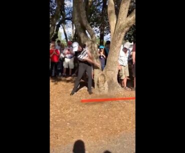 When they say golf is a game of inches #golf  #shorts #golftiktok
