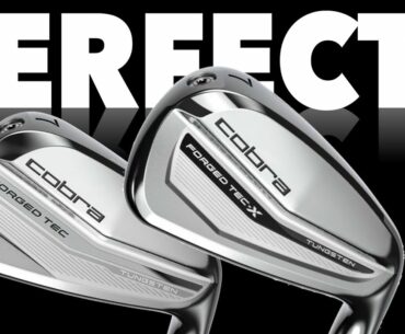 Have COBRA copied TAYLORMADE?