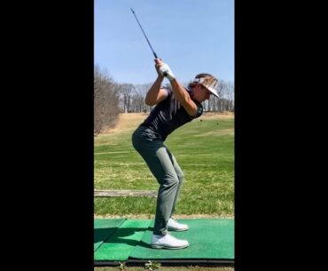 Sitting T-8 w/ 1 round to go #golf  #shorts #golftiktok