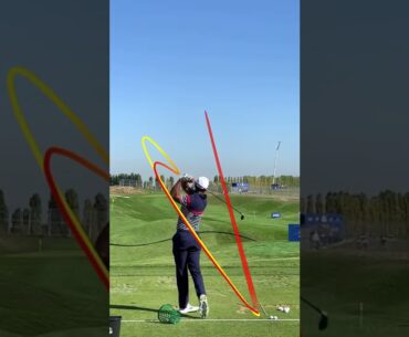 Tiger Woods golf swing on Shot Tracer App