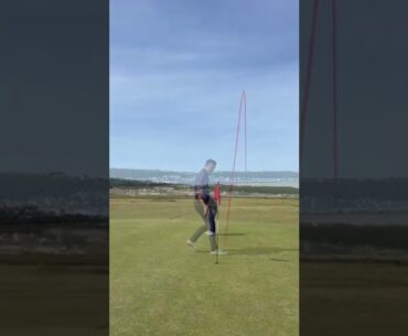 Let’s Play Golf