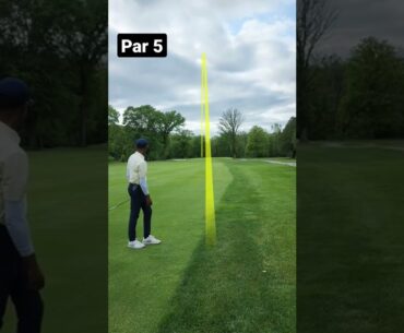 What the Par?! #shorts #golf #pga #golfswing #playgolf #golftips #golfshort #golfswag