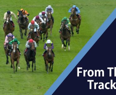 Two horses with the same name race against each other at Gowran Park! - Racing TV