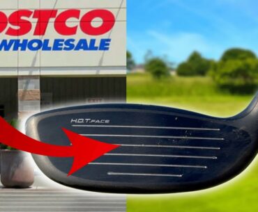 Budget COSTCO COBRA Hybird vs $250 Cobra LTDx Hybrid!? SHOCKING!