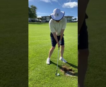 Immovable obstruction golf rule | golf rules quiz