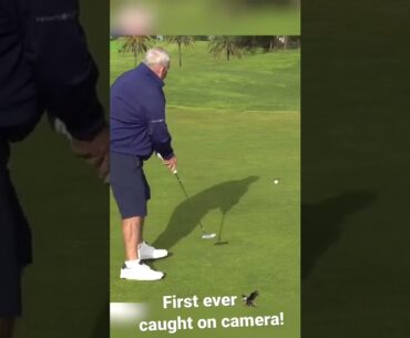 Amazing golf moment caught on camera