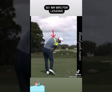 Dustin Johnson golf swing