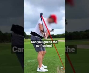 Can you guess the golf swing?