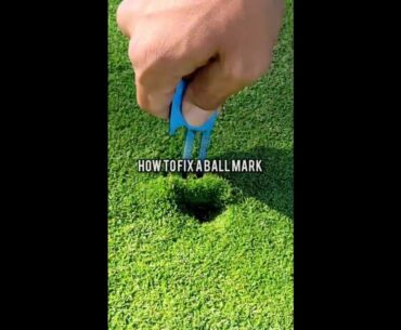 The roots were clearly obliterated by this ball mark  @birdicorngolf #golf  #shorts #golftiktok