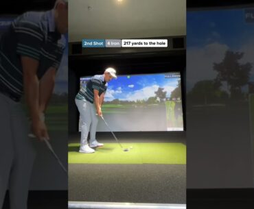 TIGER WOODS SIM! EAGLE at TPC SAWGRASS?