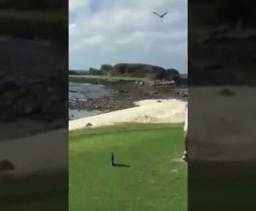 Unfortunate Golf #shorts