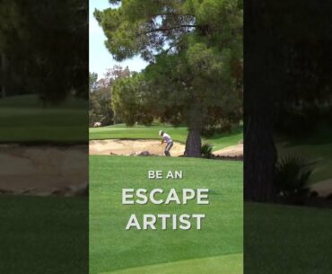 Escape Artist Golf Shot!!