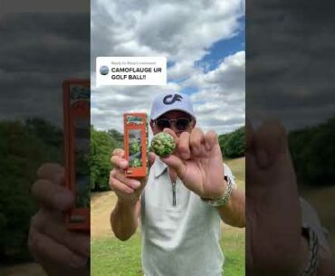 Father VS Son | IMPOSSIBLE CAMOUFLAGE GOLF BALL?!