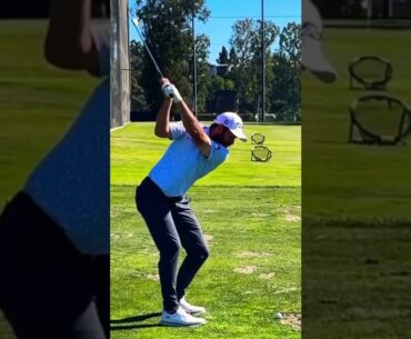 Cameron Young Golf Swing #shorts #golf #trending #viral