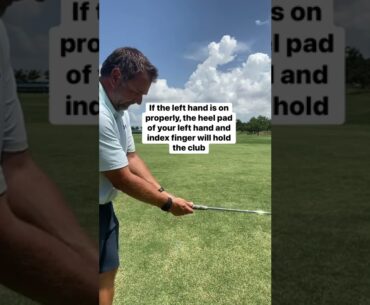 SIMPLE Grip Check!  #shorts #shortsfeed #golfshorts #golf #golflife #golfer
