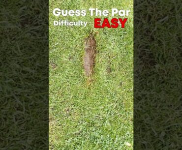 Guess The Par #2