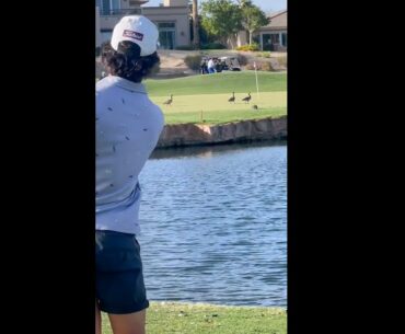 what wrong in this shot??? #golf  #shorts #golftiktok