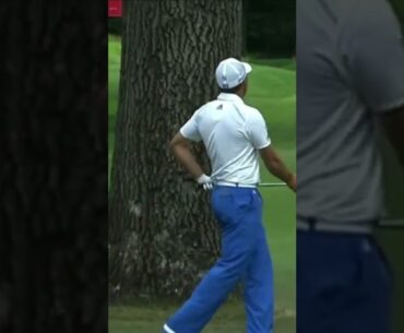 Sergio Garcia Hits Back To Back Trees And Nearly Breaks Club