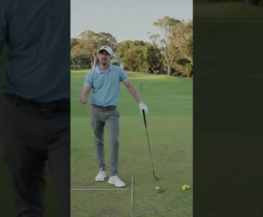 Wrist, Arms and Body in The Golf Swing