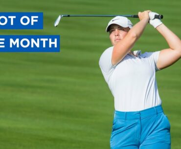 Shot of the Month | July