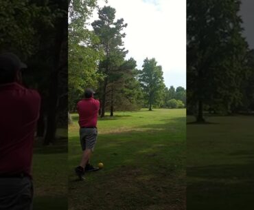 When a Bug lands on your Golf Ball during Swing