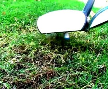 Golf Equipment - Big Daddy Driver