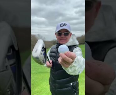 Father Vs Son! DIY GOLF CLUB!