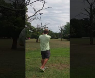 Golf Tee Roast v1