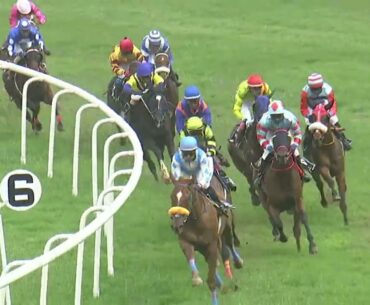 TIGER RETURNS | The Mughal Garden Stakes Div-2