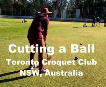 Croquet Angled Cut Shots