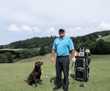 The golf grip by golfpro David and star dog Tiger Woods