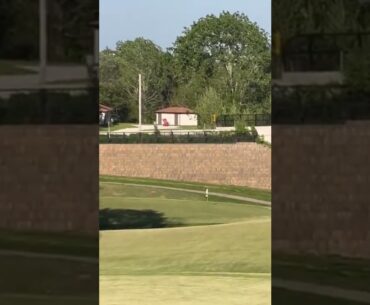 Beautiful ball flight #golf  #shorts #golftiktok